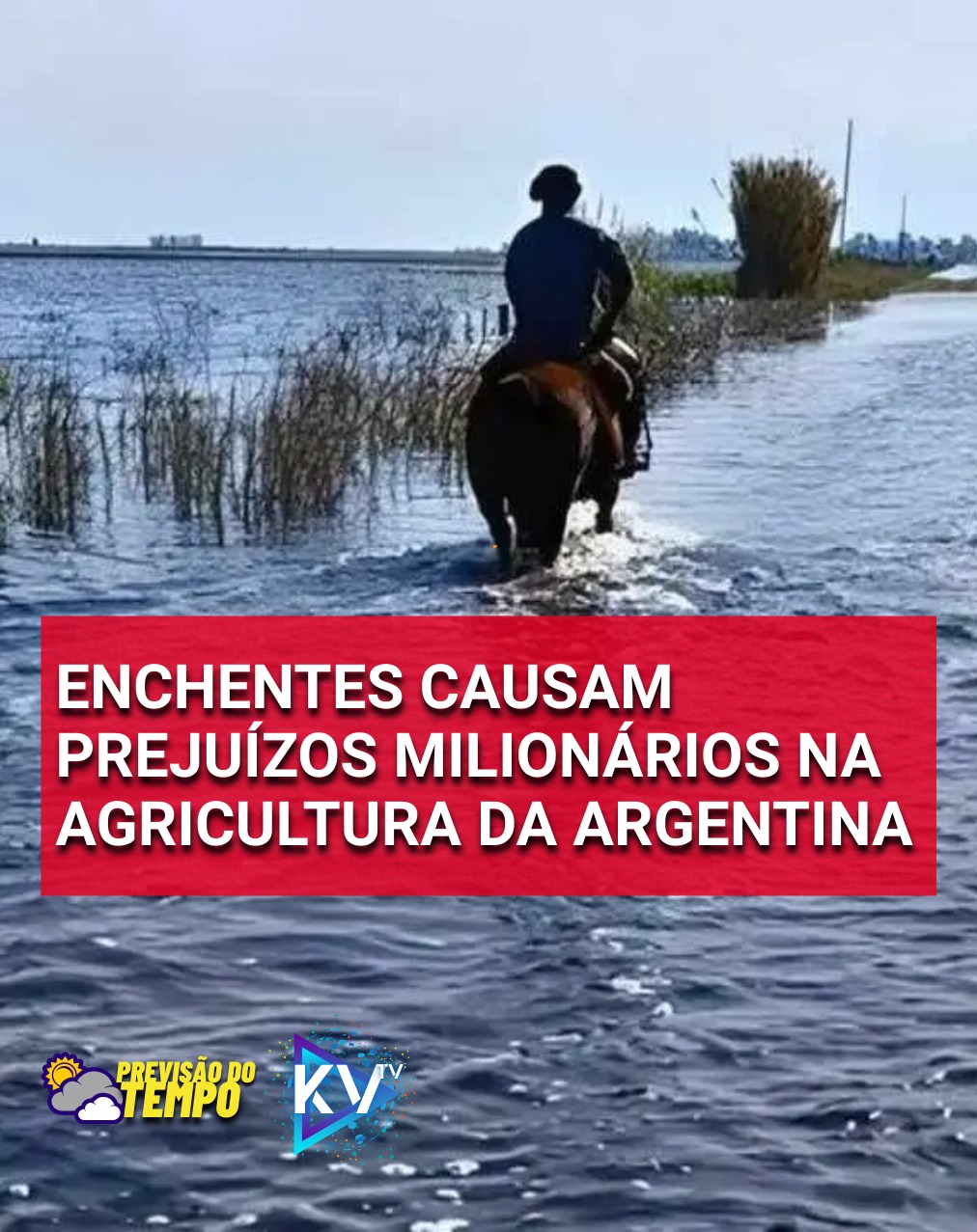 Enchentes históricas causam prejuízos milionários na agricultura da Argentina.