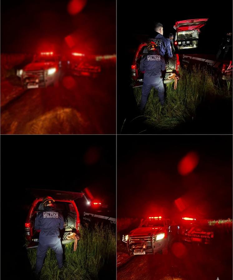 Tragédia em Vacaria: Caçador de Caxias do Sul morre após cair de árvore em área rural