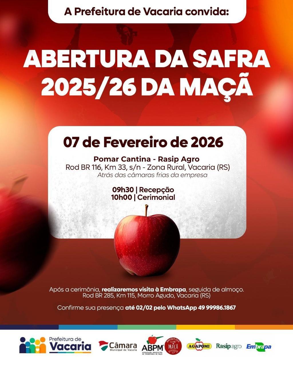 Safra da Maçã 2025/2026 abre oficialmente com expectativa de retorno aos patamares médios históricos e frutos de alta qualidade.