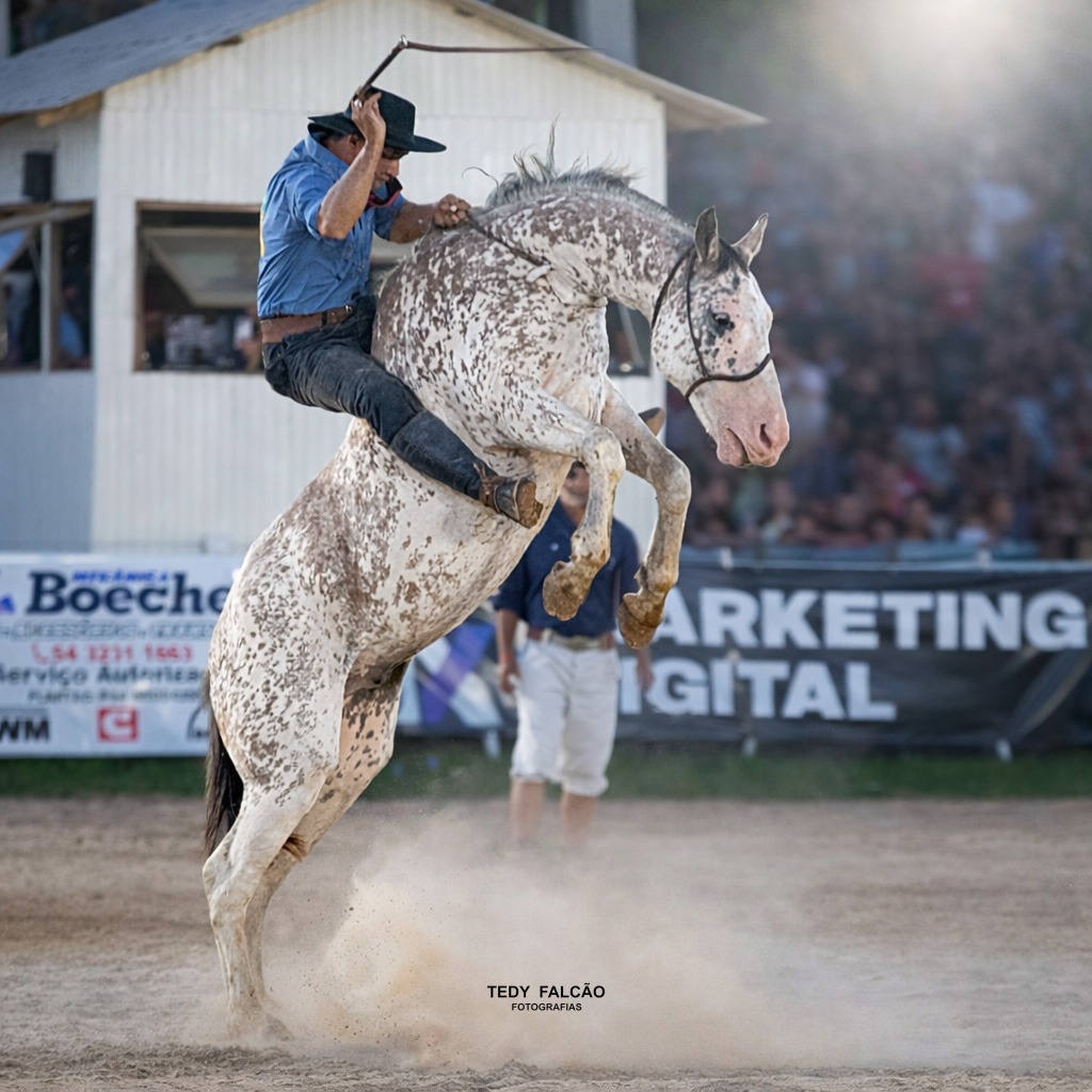 Juliano Queirotti brilha com nota 8,5 na 2ª Classificatória da Gineteada Campana